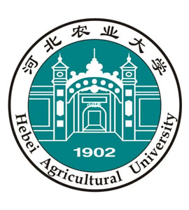 肥乡河北农业大学