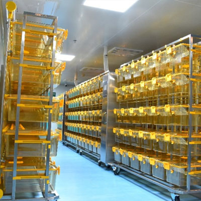 肥乡动物培养舱